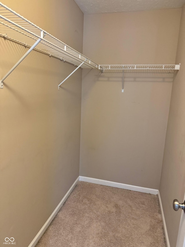 walk in closet featuring carpet flooring