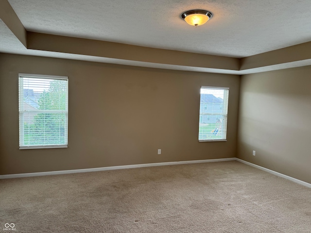 carpeted empty room featuring a textured ceiling and a wealth of natural light