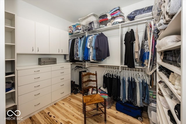 spacious closet with light hardwood / wood-style flooring