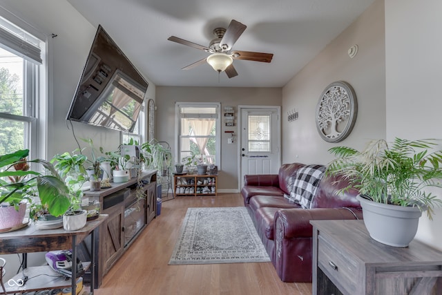 living room featuring light hardwood / wood-style floors and ceiling fan