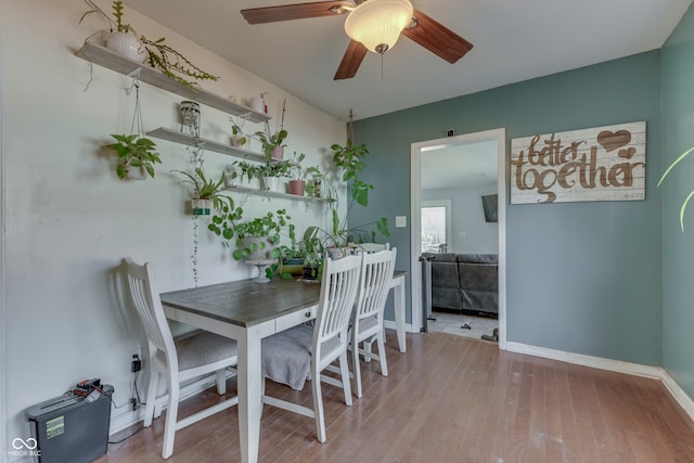 dining area with light hardwood / wood-style floors and ceiling fan