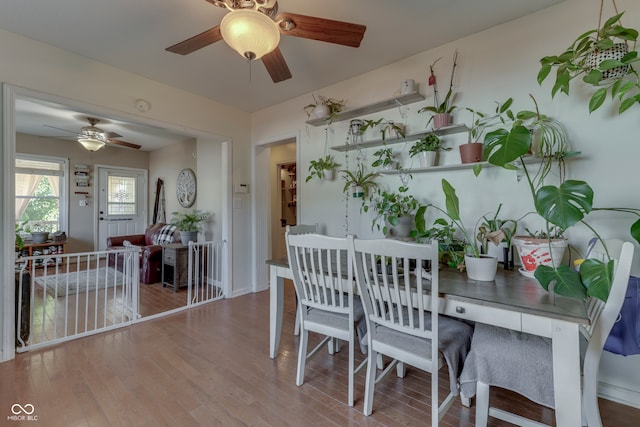 dining space featuring ceiling fan and hardwood / wood-style flooring