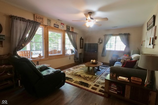 living room with ceiling fan and wood-type flooring