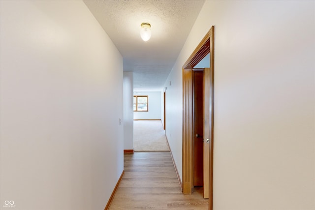 hallway featuring light hardwood / wood-style flooring and a textured ceiling