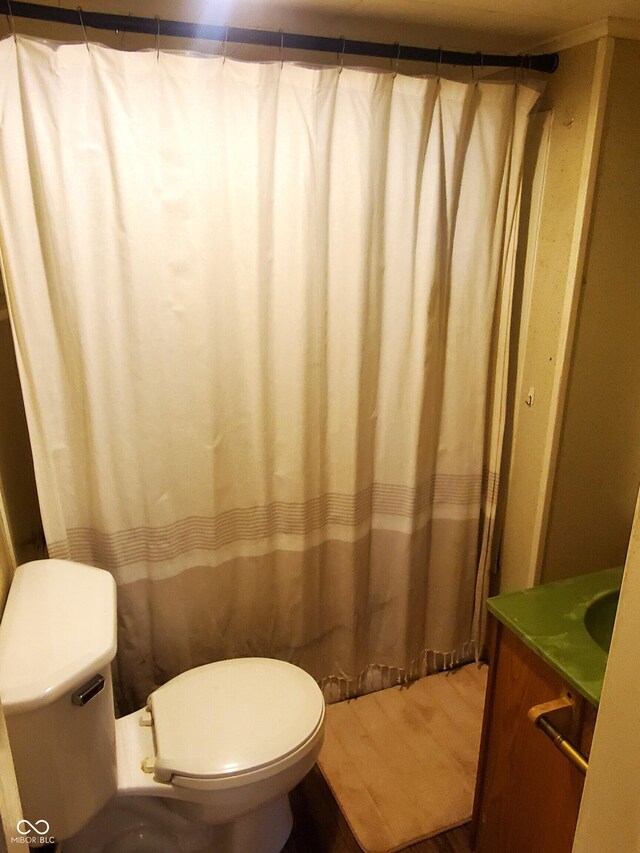 bathroom with wood-type flooring, vanity, walk in shower, and toilet