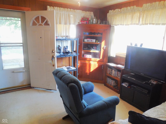 living room with wood walls