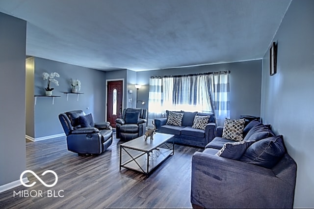 living room featuring dark wood-type flooring