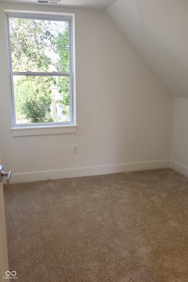 additional living space with lofted ceiling, plenty of natural light, and carpet