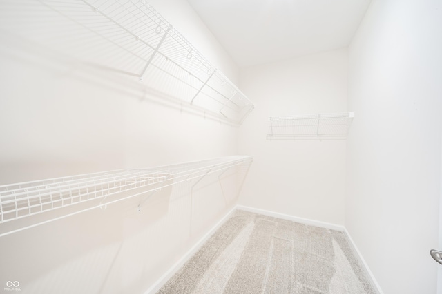 walk in closet featuring light colored carpet