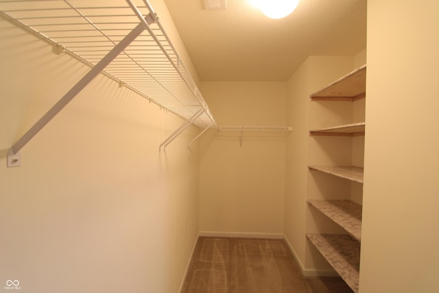 spacious closet featuring carpet floors