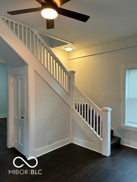 staircase featuring wood-type flooring