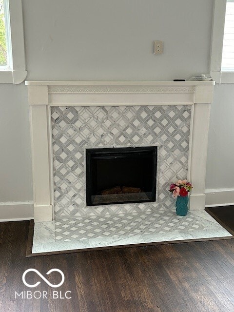 details featuring wood-type flooring and a fireplace