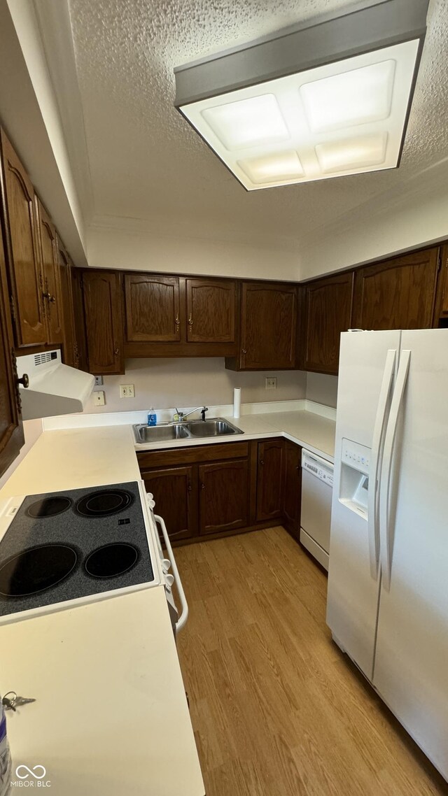 kitchen featuring a textured ceiling, light wood-type flooring, sink, and white appliances