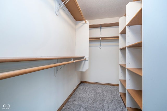 spacious closet with carpet flooring