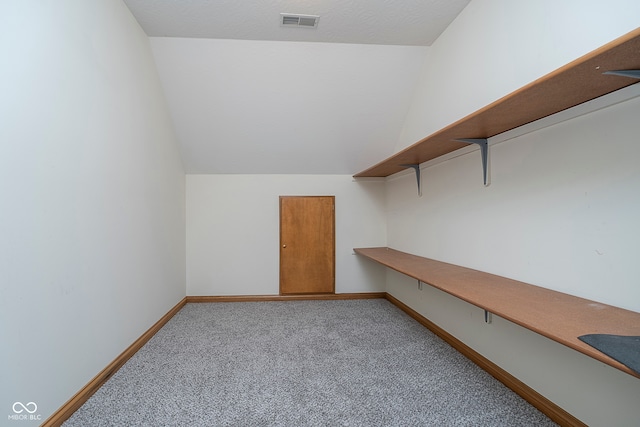 interior space with vaulted ceiling and carpet floors