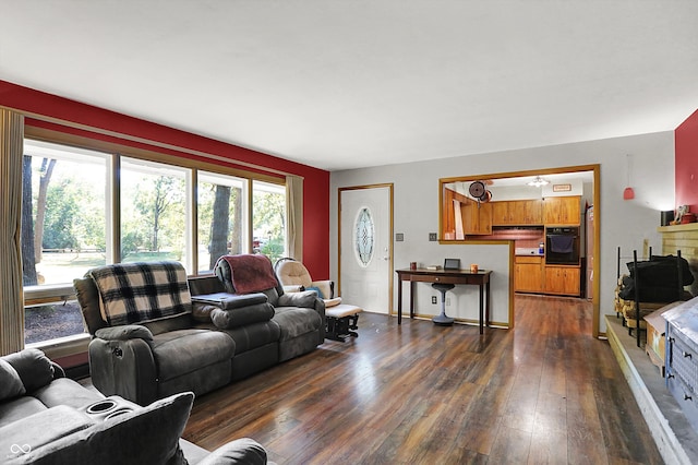 living room with dark hardwood / wood-style floors