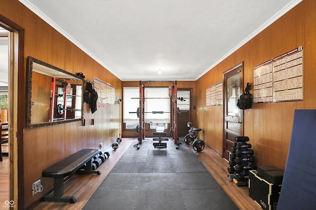 workout area with a healthy amount of sunlight, crown molding, and hardwood / wood-style floors