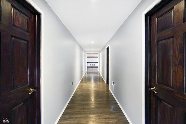 hall featuring dark wood-type flooring