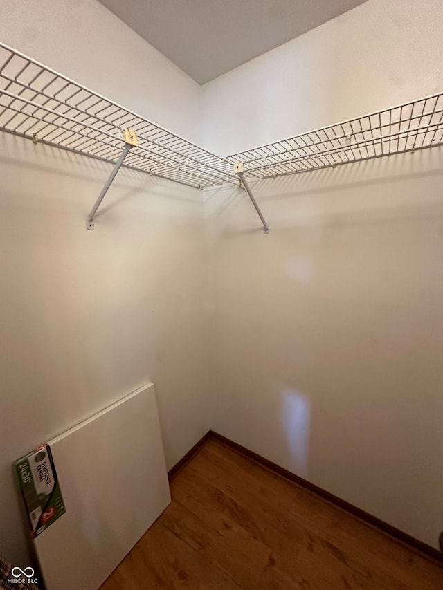 walk in closet with hardwood / wood-style floors