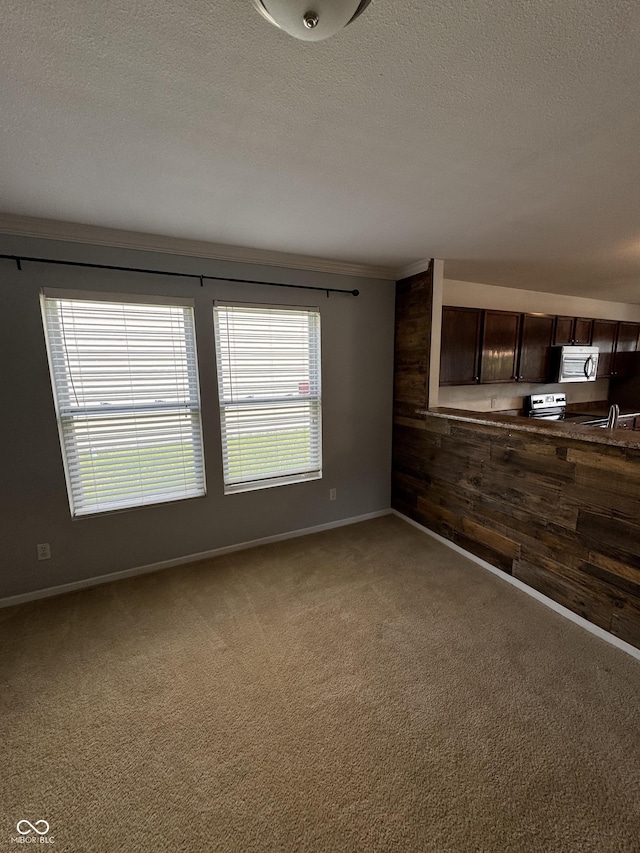 2307 Blackthorn Dr, Franklin, IN 46131 - unfurnished living room with carpet floors, baseboards, crown molding, a sink, and a textured ceiling