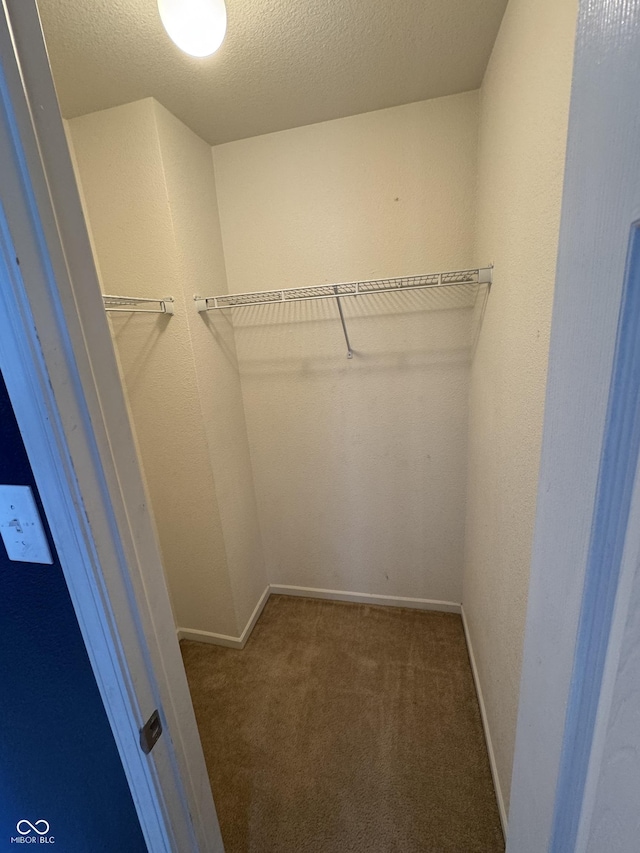 2307 Blackthorn Dr, Franklin, IN 46131 - spacious closet with carpet floors