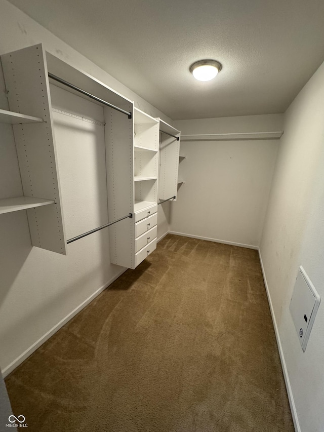 2307 Blackthorn Dr, Franklin, IN 46131 - spacious closet with dark carpet