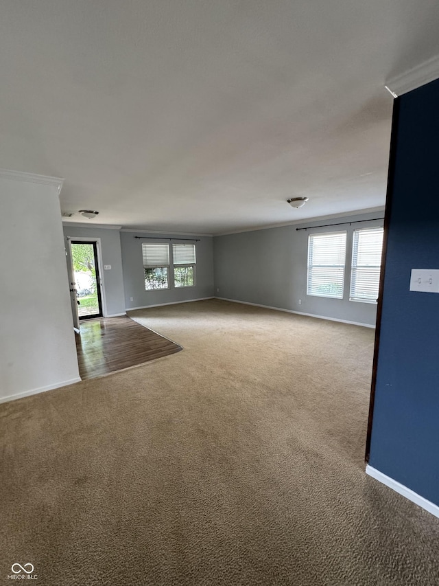 2307 Blackthorn Dr, Franklin, IN 46131 - spare room featuring carpet floors, baseboards, and ornamental molding