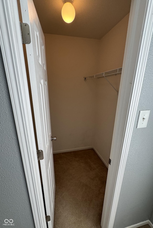 2307 Blackthorn Dr, Franklin, IN 46131 - spacious closet with carpet flooring