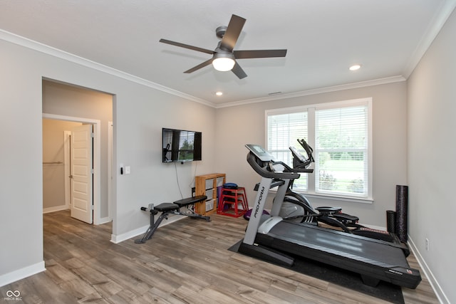 exercise room with ceiling fan, light hardwood / wood-style flooring, and crown molding