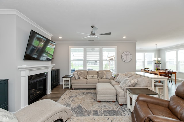 living room featuring wood-type flooring, crown molding, and ceiling fan