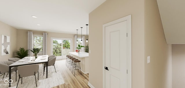 interior space featuring light hardwood / wood-style floors