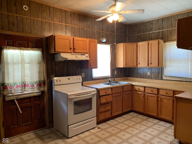 kitchen with ceiling fan, sink, wood walls, and white electric stove