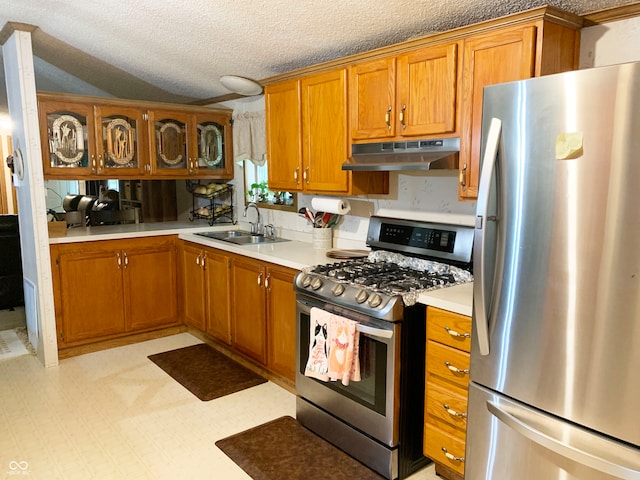 kitchen with vaulted ceiling, a textured ceiling, stainless steel appliances, and sink