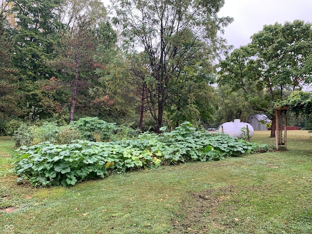 view of yard with a storage shed