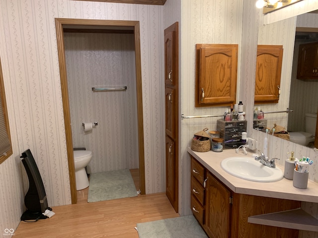 bathroom featuring hardwood / wood-style floors, vanity, and toilet