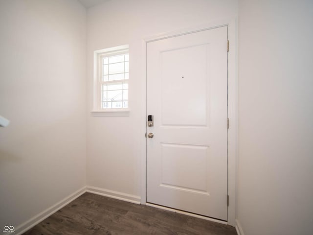 doorway to outside featuring dark wood-type flooring