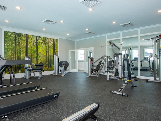 gym featuring crown molding and a wealth of natural light