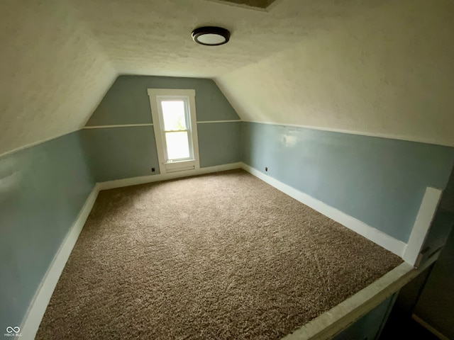 additional living space with a textured ceiling, lofted ceiling, and carpet flooring