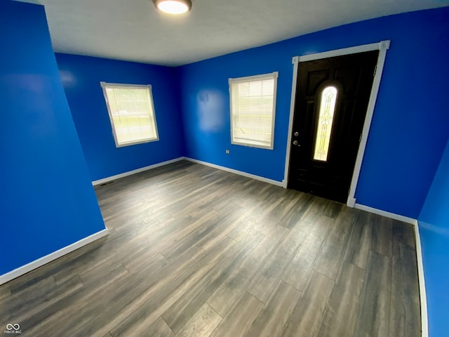 interior space with dark hardwood / wood-style flooring and a wealth of natural light