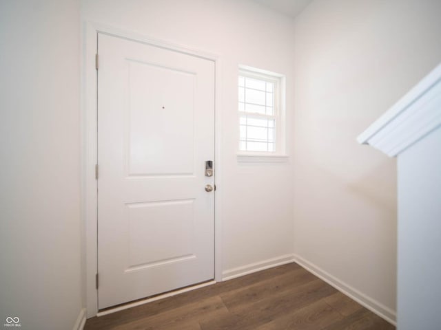 doorway to outside featuring dark wood-type flooring