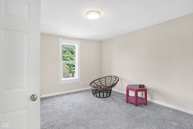 living area with carpet flooring