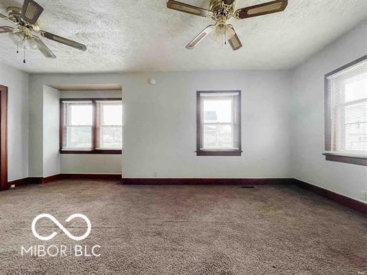 unfurnished room with carpet flooring, a wealth of natural light, and a textured ceiling