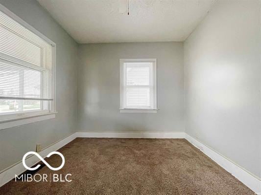 carpeted spare room with plenty of natural light