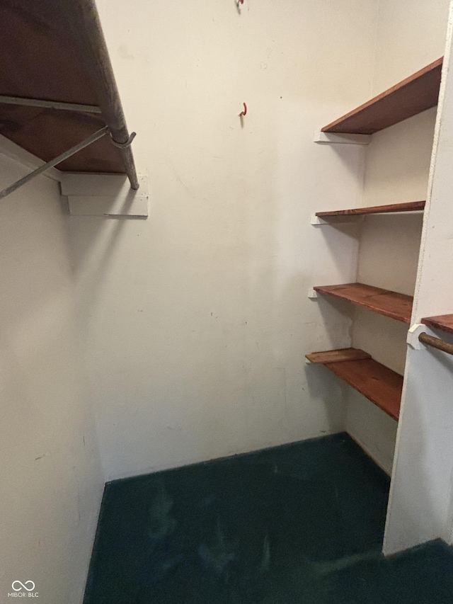 8855 N Waverly Park Rd, Martinsville, IN 46151 - view of walk in closet