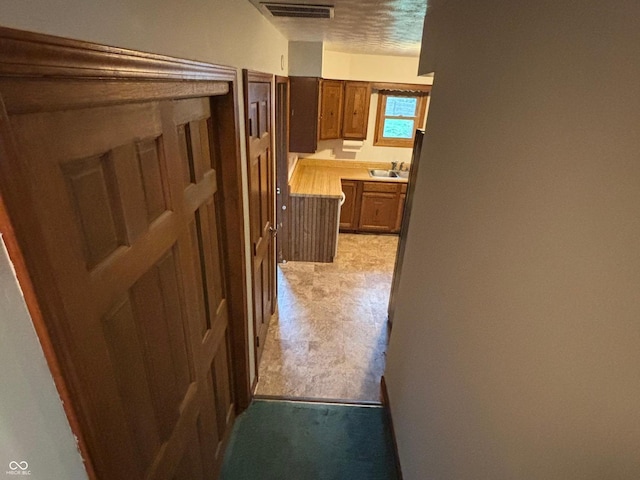 8855 N Waverly Park Rd, Martinsville, IN 46151 - hallway featuring a sink and visible vents