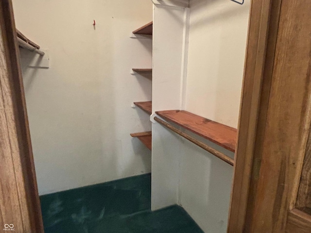 8855 N Waverly Park Rd, Martinsville, IN 46151 - view of walk in closet