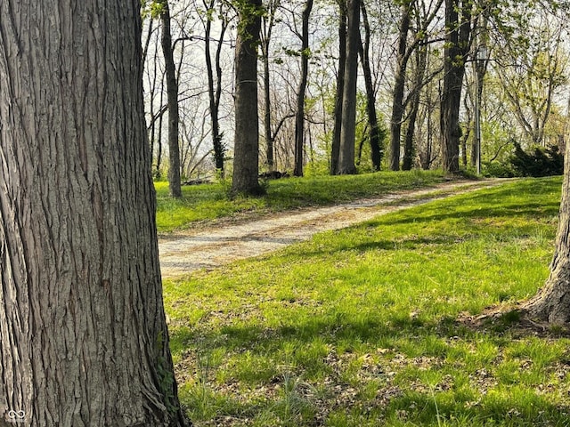 8855 N Waverly Park Rd, Martinsville, IN 46151 - view of road