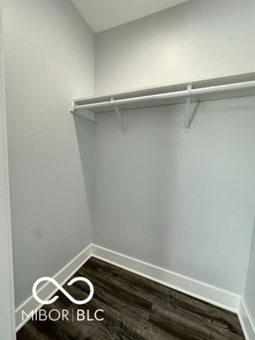 walk in closet featuring dark hardwood / wood-style flooring