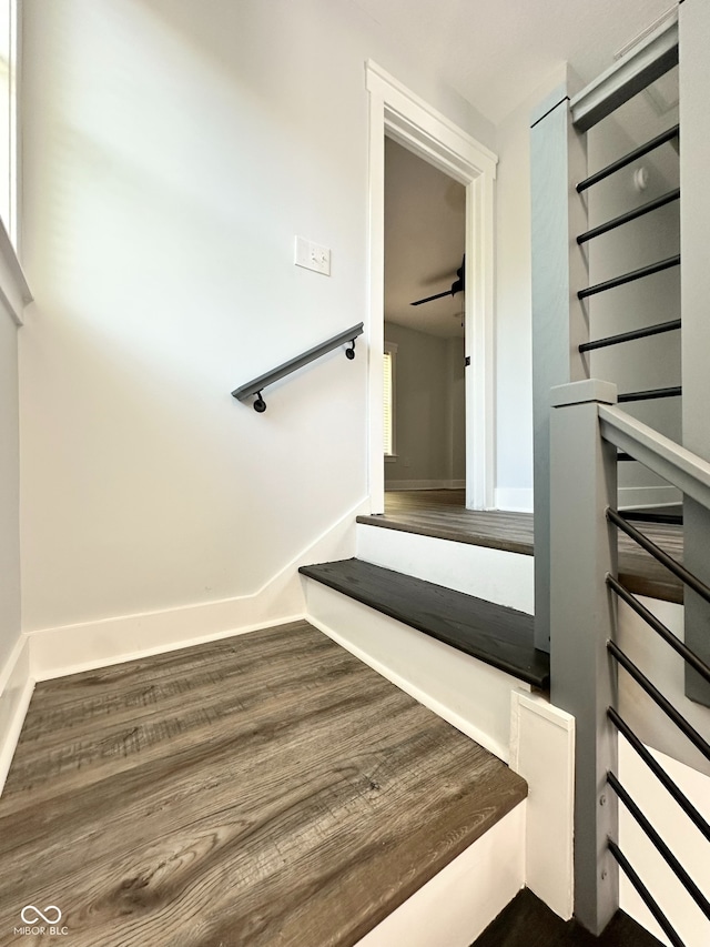 staircase with wood-type flooring