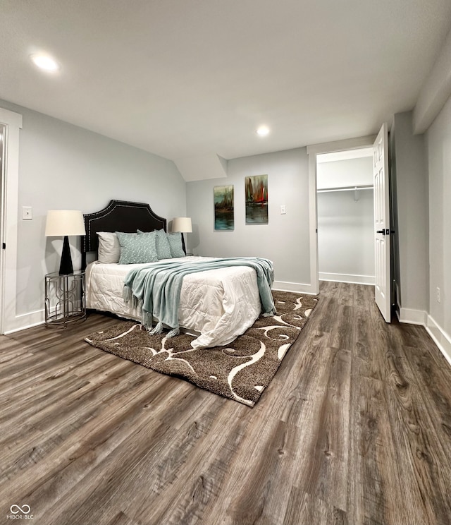 bedroom featuring a closet, a spacious closet, and dark hardwood / wood-style floors